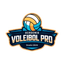 Logo Academia Voleibol Pro