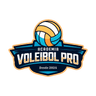Logo Academia Voleibol Pro